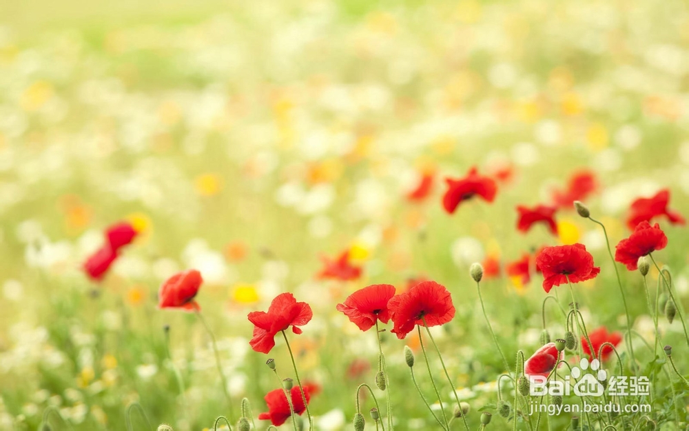 关于国家司法考试的几点常识