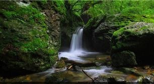 如何快乐的面对生活