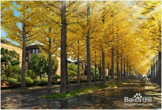 2015年武汉文艺青年的五大新去处诞生啦