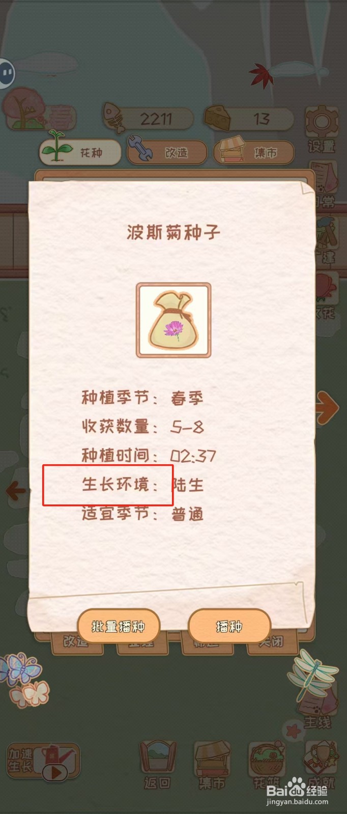 花店物语如何查看波斯菊种子的生长环境