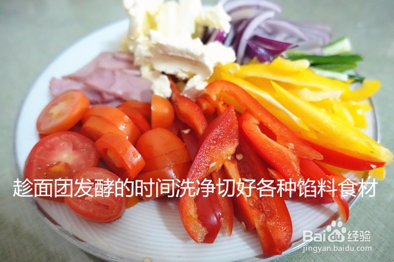 CASDON家用电烤箱怎么做披萨