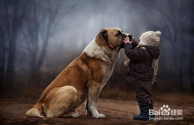 宠物狗与孩子亲密合影，真的是很温馨快乐！