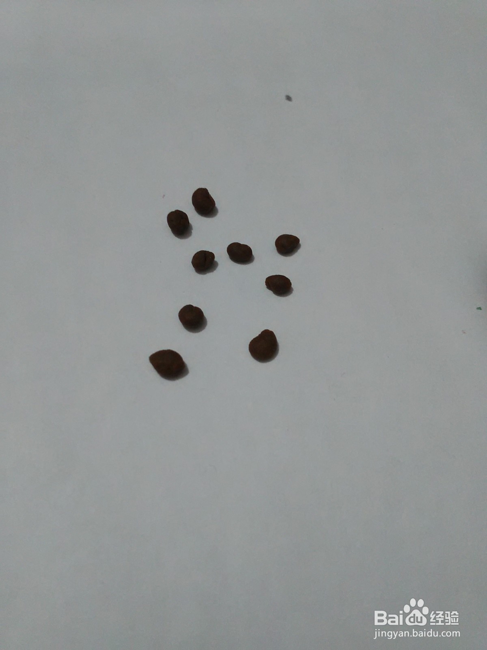 卡通巧克力饼干怎么捏