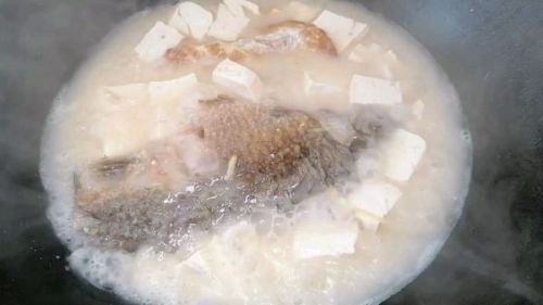 鮮美可口鯽魚豆腐湯