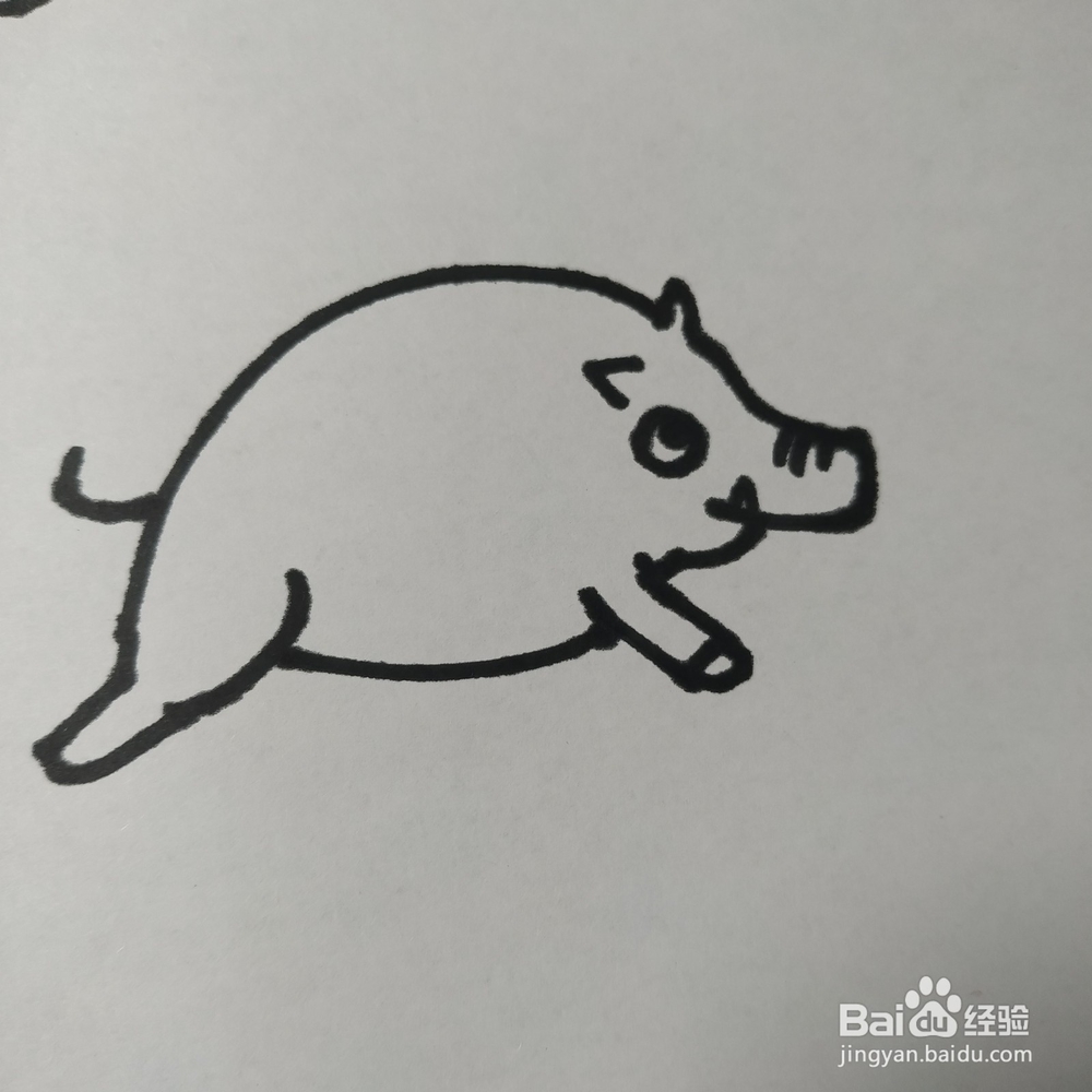 怎么画野猪的儿童画?野猪的儿童画怎么画呢?