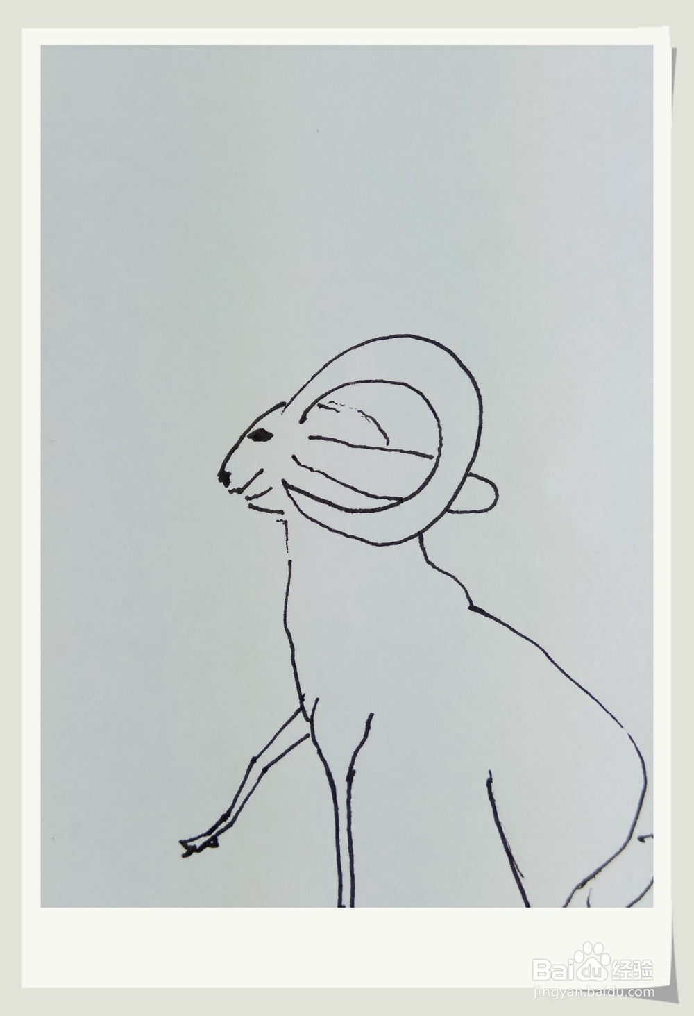怎样画钢笔画“老羊”？