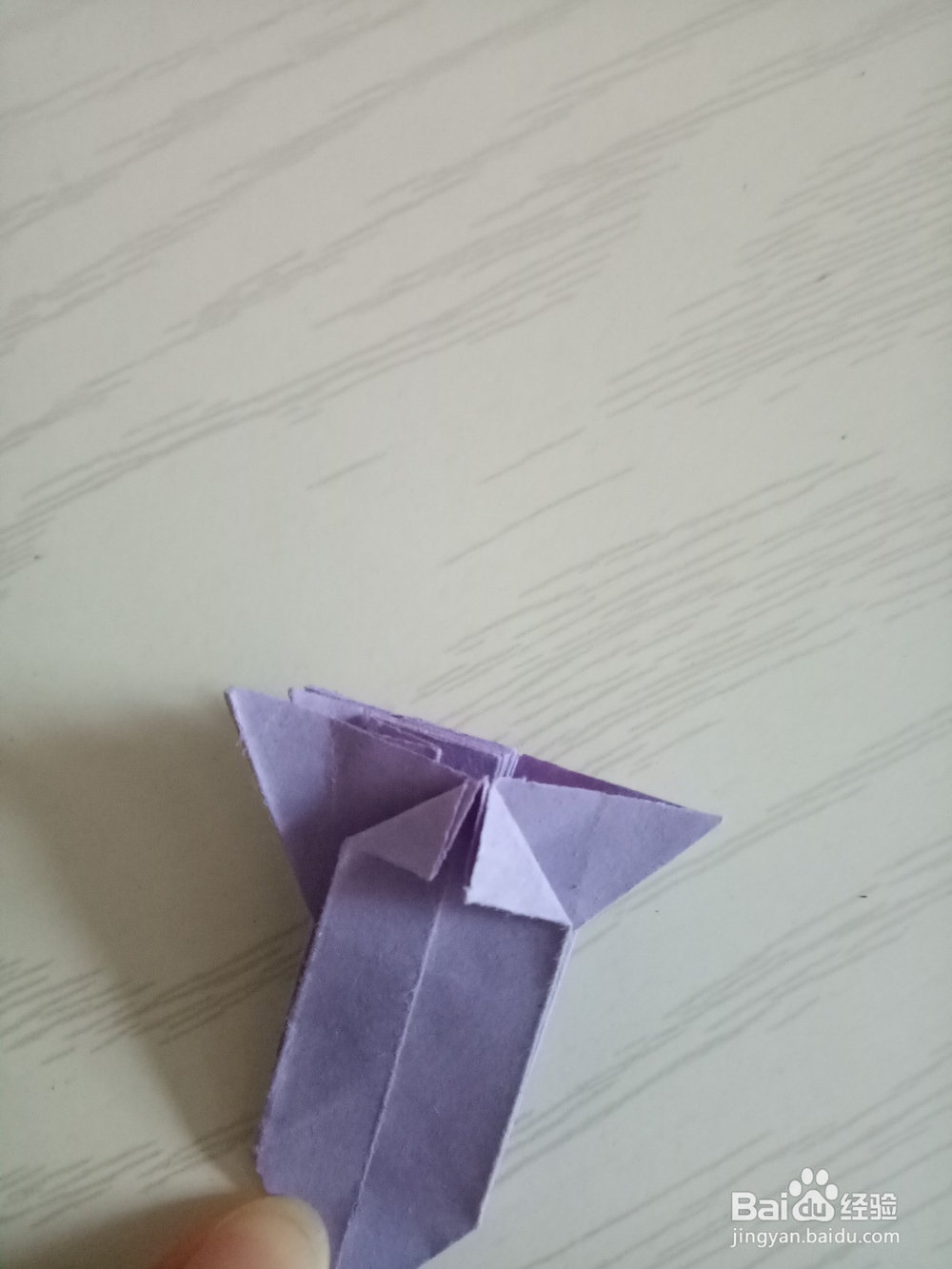 牵牛花折叠方法 下