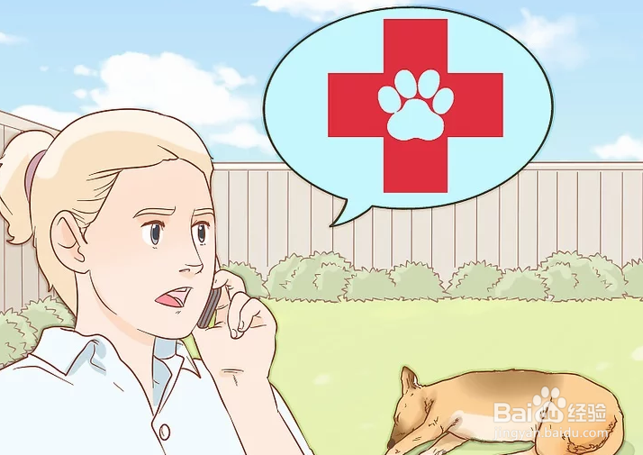 如何治疗中暑的爱犬