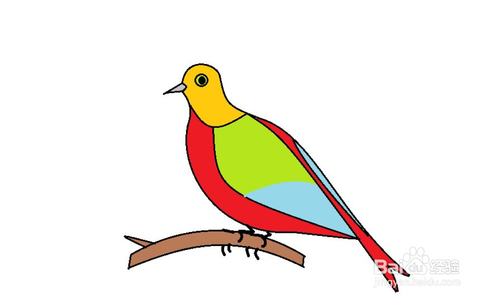 怎么简单画五彩鸟