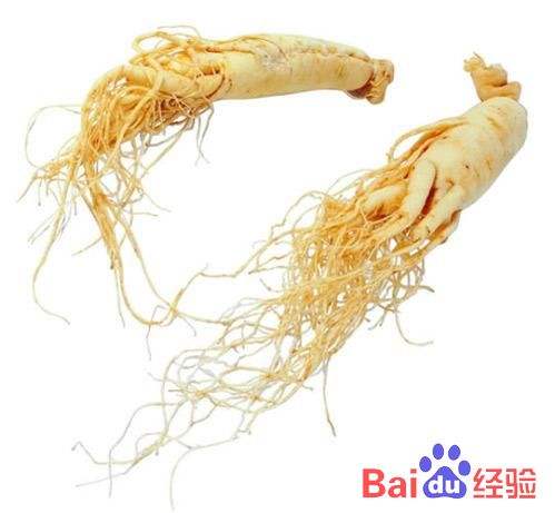 花旗参 西洋参的功效与作用及食用方法 百度经验 花旗参 西洋参的功效与作用及食用方法 百度经验