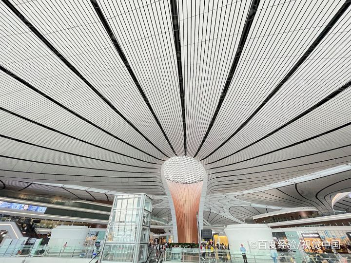 几种方法求解y=√6-x^2在[0,√6]上的最值