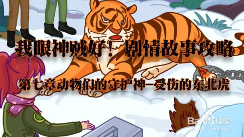 我眼神儿贼好！受伤的东北虎攻略