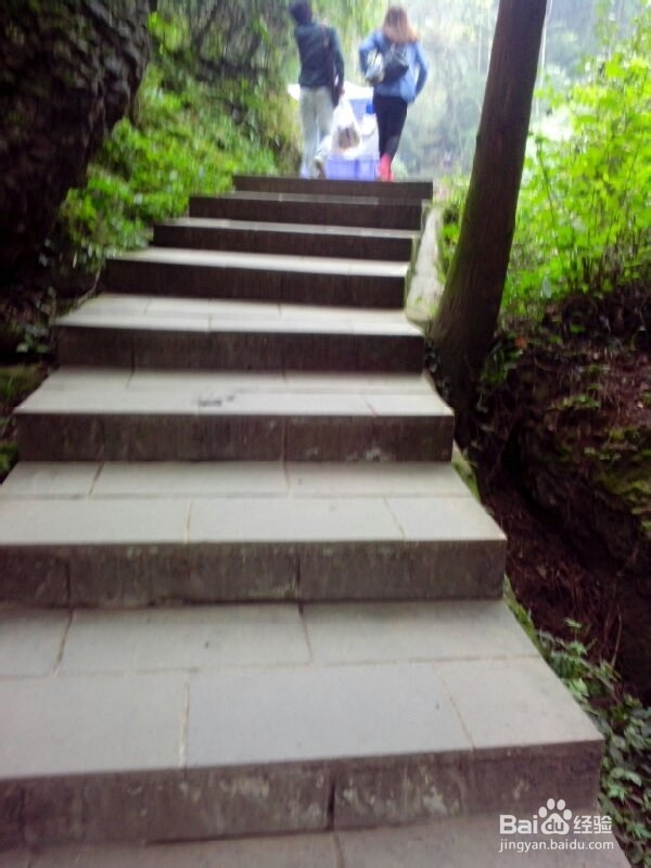 青城后山游览