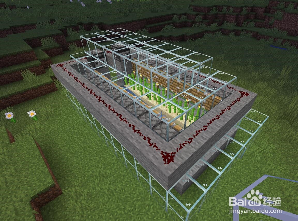 我的世界怎么做自动甘蔗收割机