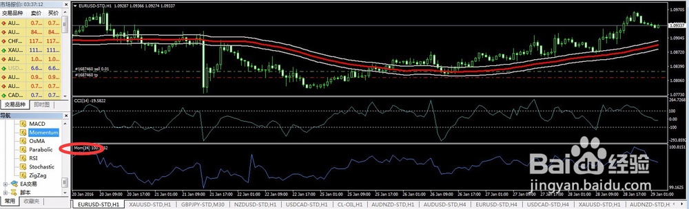 Momentum指标详细介绍