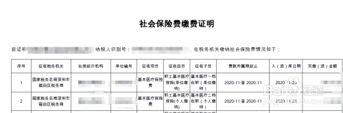 如何在电子税务局查询社保缴纳情况