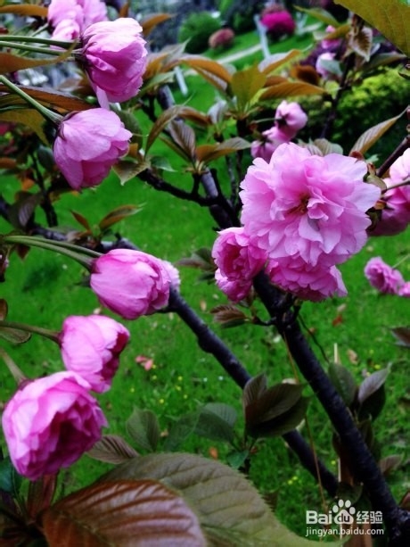 旅游,到处看看风景吧