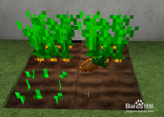 我的世界隐身药水