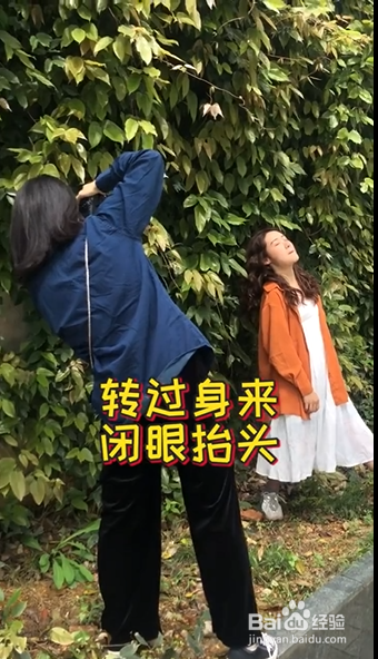 爬山虎如何拍出复古大片