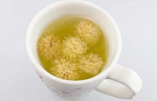 菊花茶解药吗