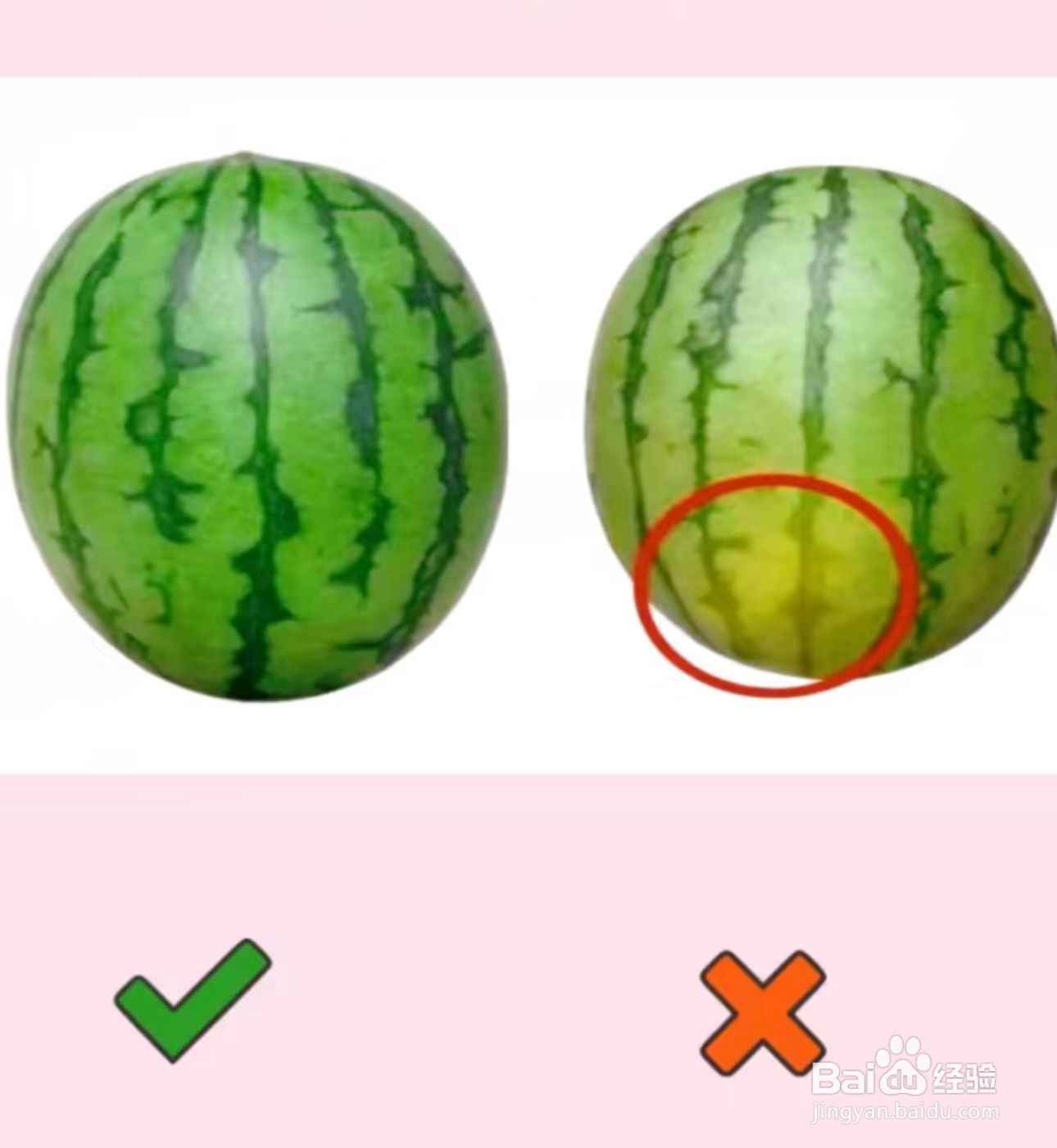 如何选择好吃的西瓜