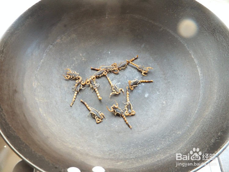 蝎子怎么做好吃