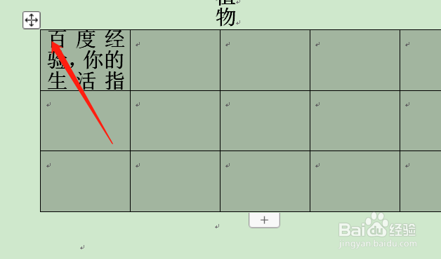 wps表格文字显示一半