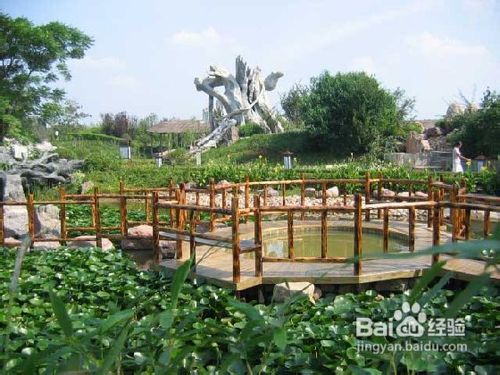 花都温泉旅游小攻略