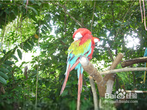 五一短距游如何玩转济南？