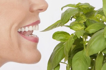 怎样保护牙齿？怎样保持牙齿健康？