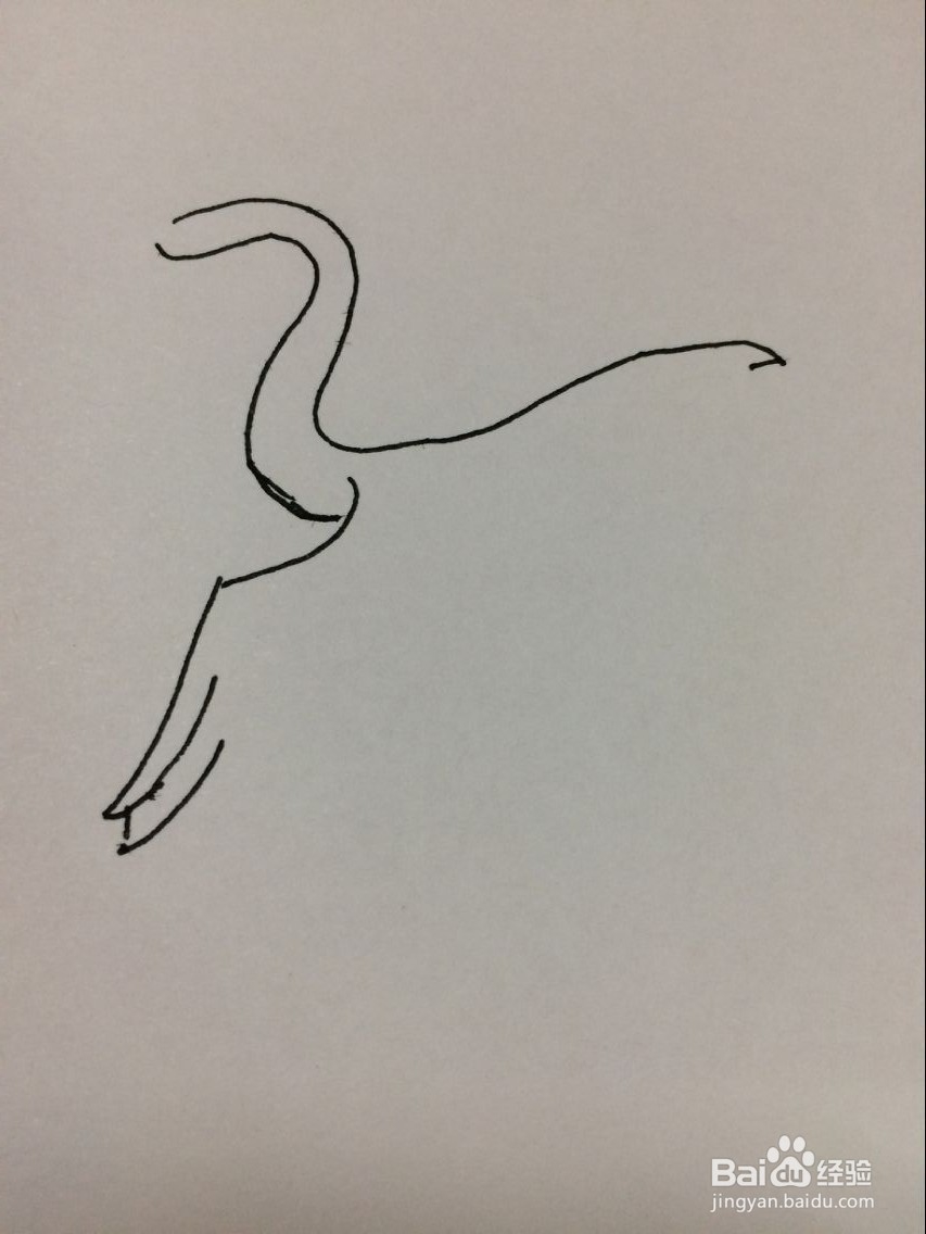 简笔画仙鹤的方法