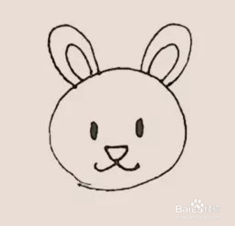 爱吃萝卜的小白兔简笔画