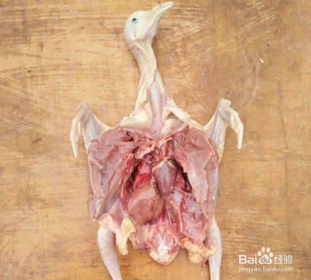 鸽子怎么处理才能留住营养