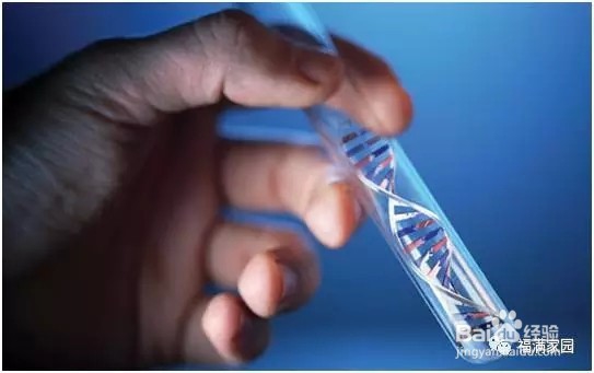 克唑替尼治疗肺癌