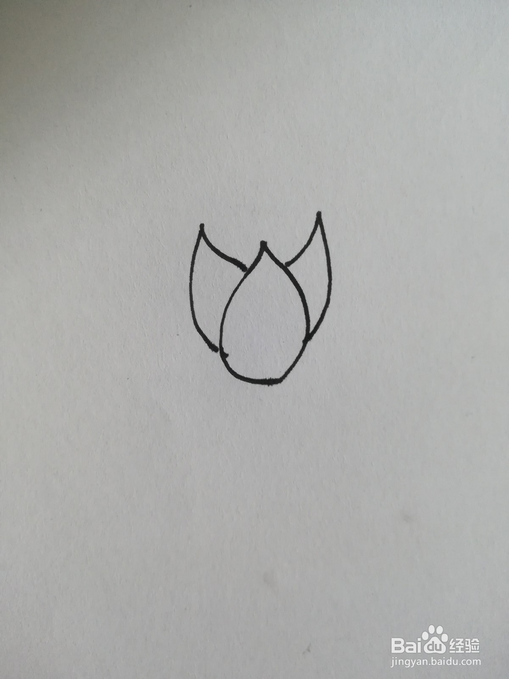 怎么画荷花的简笔画，荷花的简笔画