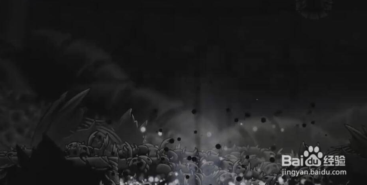 空洞骑士出生地在哪里？