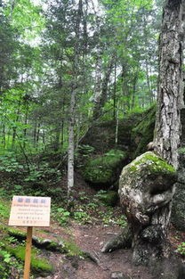 汤旺河石林风景区游玩攻略