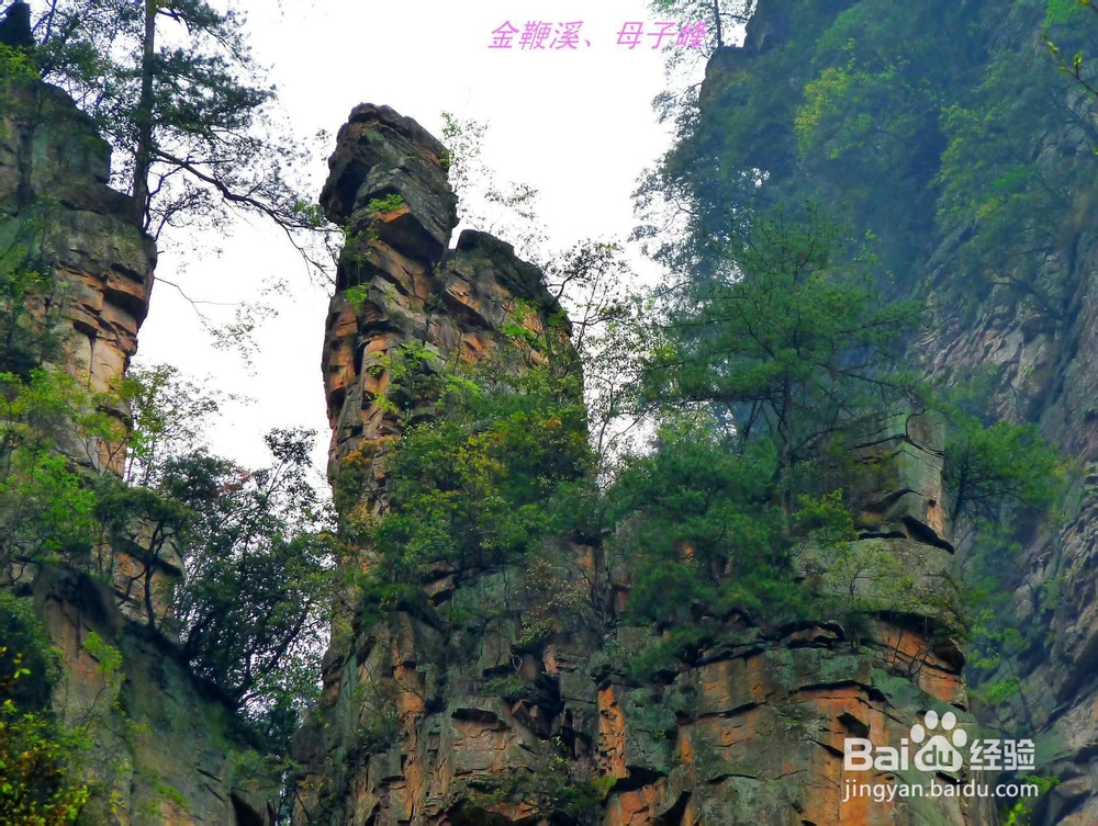 张家界旅游住宿