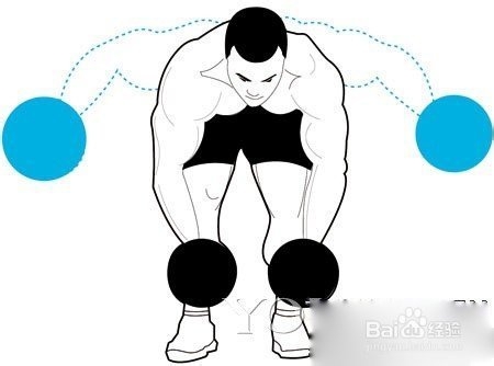 怎么锻炼肩部肌群