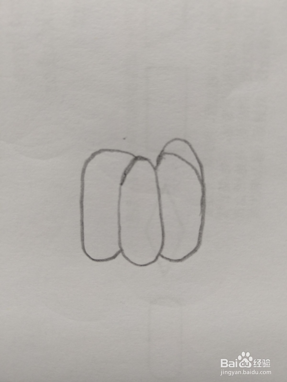 简笔画山竹画法4