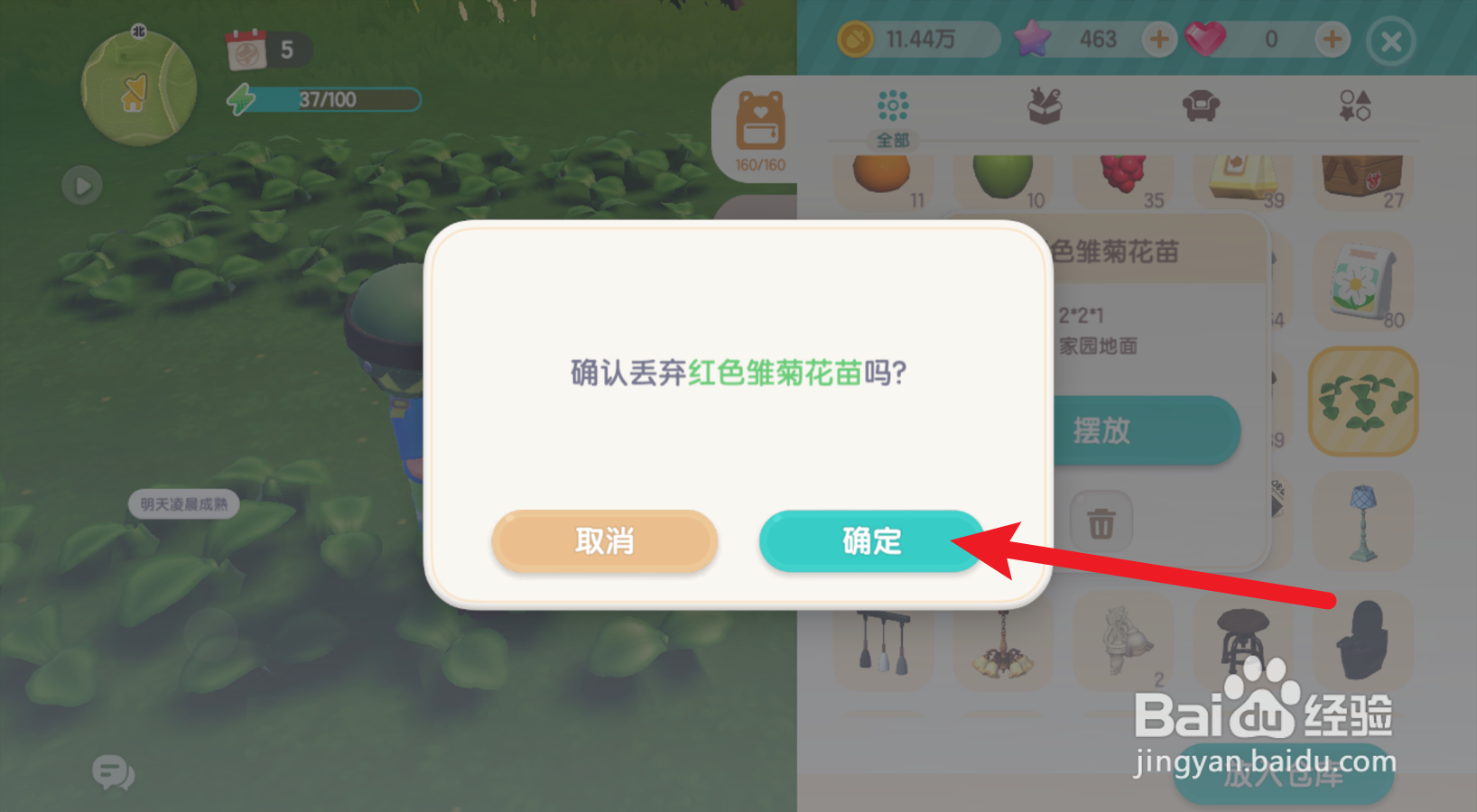 心动小镇怎么丢弃雏菊花苗