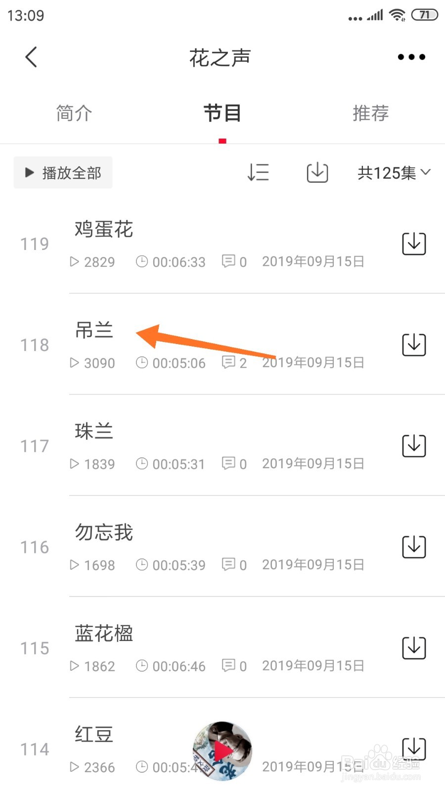 云听中哪里查看吊兰