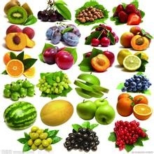 男生女生养生之法