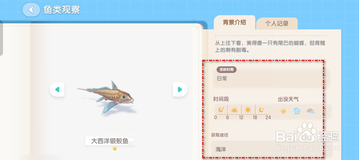 心动小镇如何钓大西洋银鲛鱼