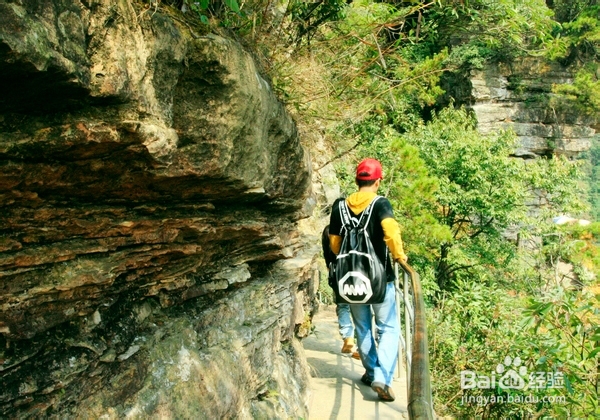 忙里偷闲利用周末去张家界游历了一番