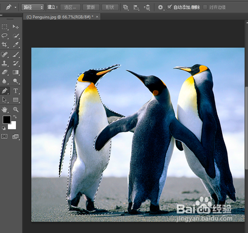 photoshop基础教程之去掉图片中的某一物体