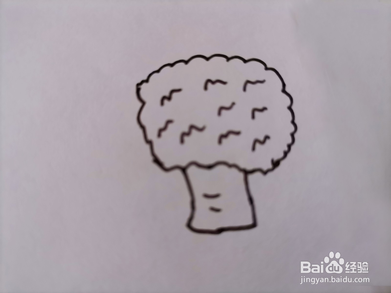 儿童简笔画 一棵花椰菜