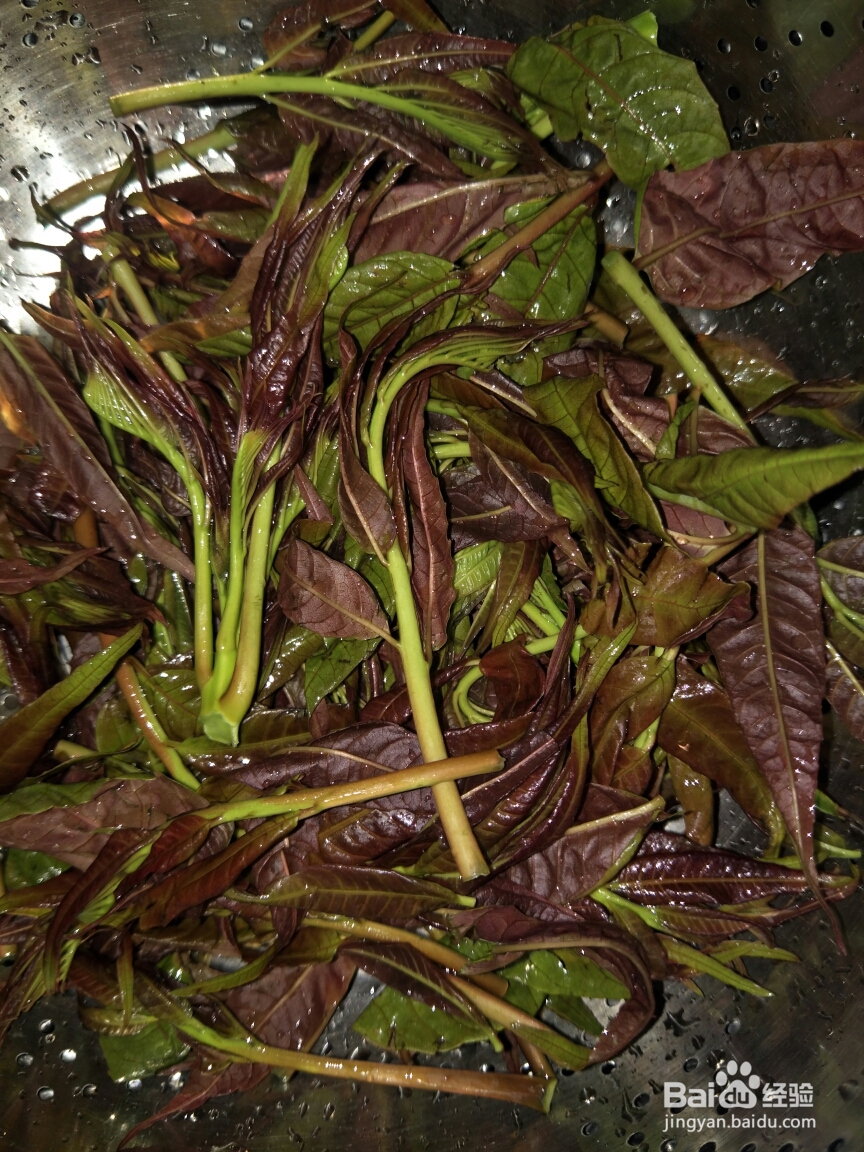 厨爸教你做香椿炒鸡蛋