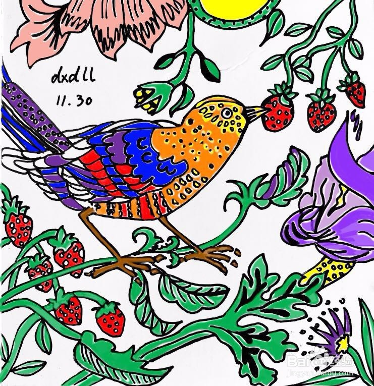 茉莉水彩手绘之富贵吉祥鸟