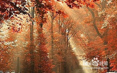 怎样与他人交流意见